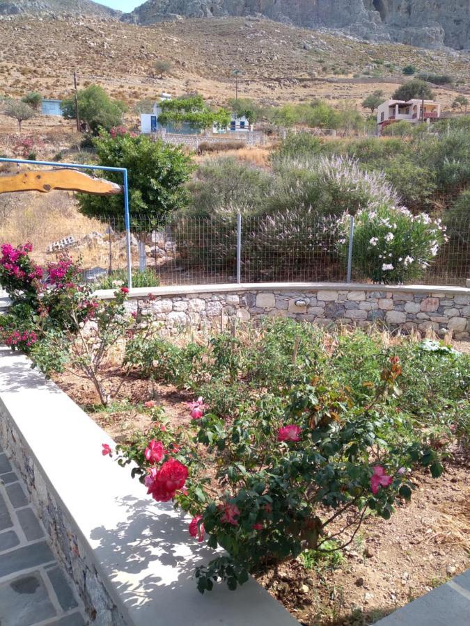 Villa Polymnia Emborios Luaran gambar