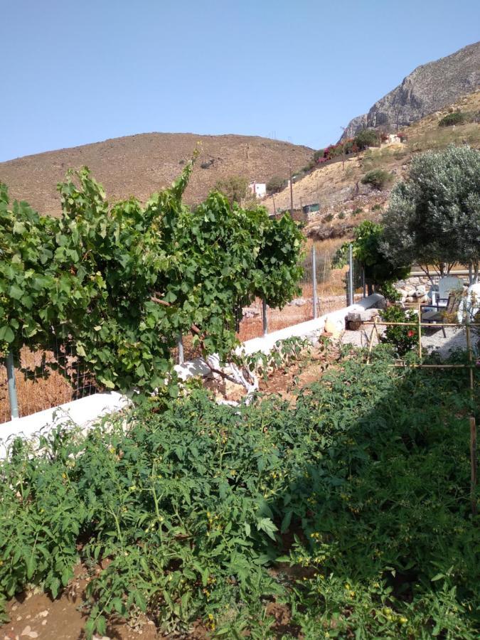 Villa Polymnia Emborios Luaran gambar